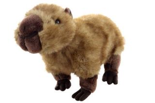 Obrázek z Kapybara plyš 25cm Eco-friendly 